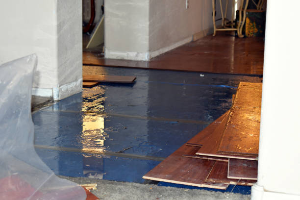 Professional Water Damage Restoration technician working in Dodge, WI
